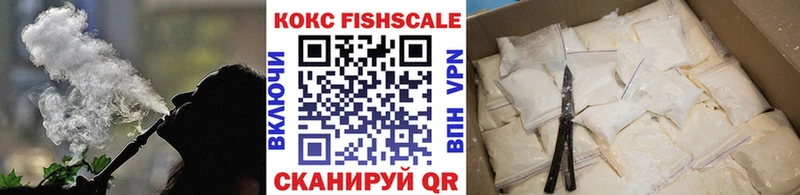 ссылка на мегу   shop наркотические препараты  Сольвычегодск  Cocaine FishScale  купить наркоту 