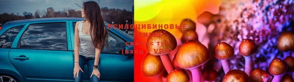 гашиш Абаза