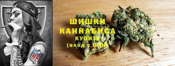 гашик Осташков